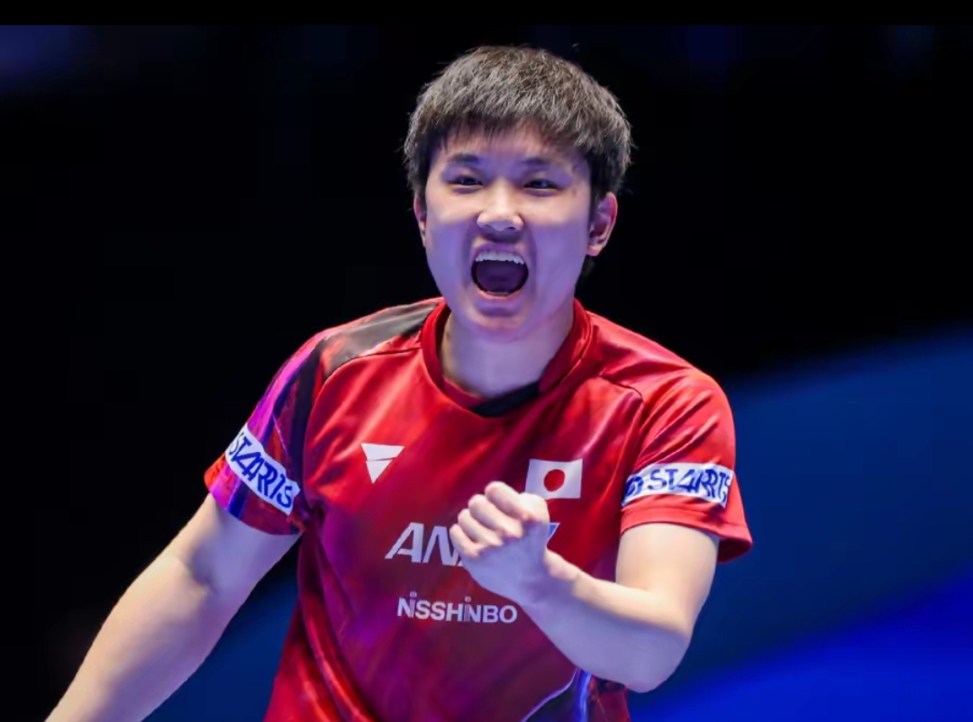 们更好地了 们更好地了