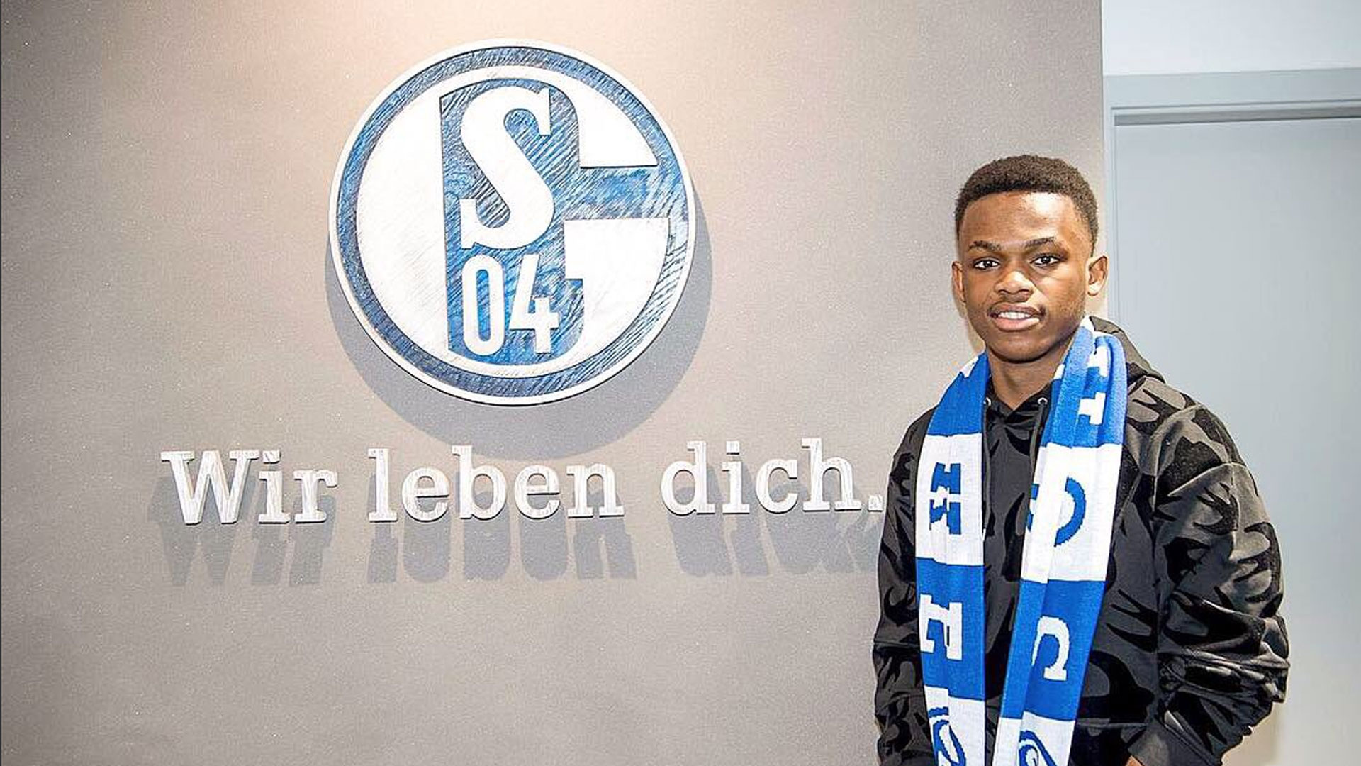 仅写满了体 仅写满了体